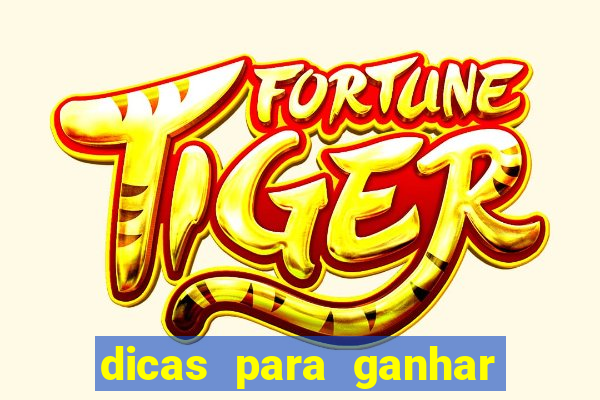 dicas para ganhar no fortune rabbit